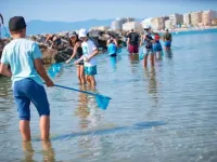 À la découverte de la faune et flore marine