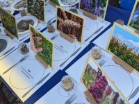 L'origine des plante comestibles