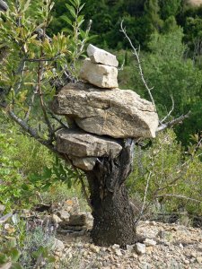 La géologie dans la garrigue