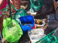 Mais qui se cache sous l'eau de nos lagunes ?