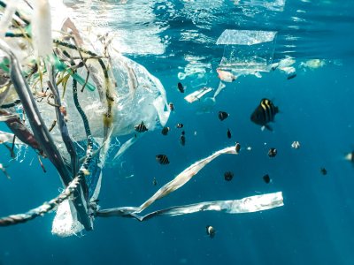 Plastique dans les océans