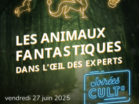 Soirée Cult' · Les animaux fantastiques - Dans l'oeil des experts