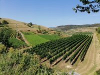 F&ecirc;te de la Science &agrave; la Villa Loupian
